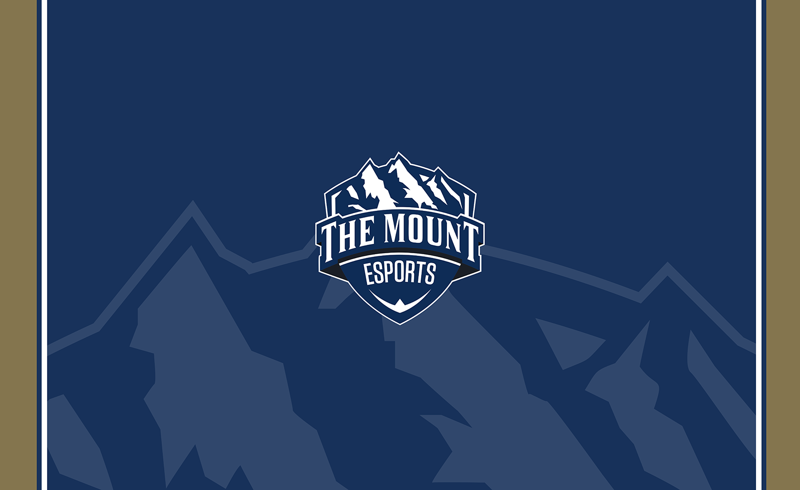 Mount St. Mary Esports