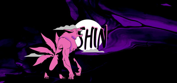 Shin